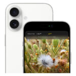 گوشی موبایل اپل مدل iPhone 17 CH دو سیم کارت ظرفیت 256 گیگابایت و رم 8 گیگابایت - تصویر 9